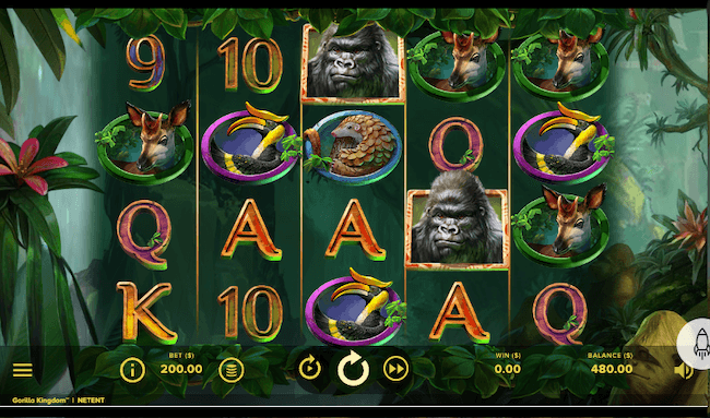 gorilla kingdom game interface